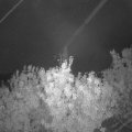 Webcam_20200929-063000