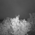 Webcam_20200929-064500