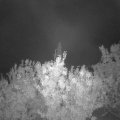 Webcam_20200930-051500