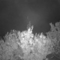 Webcam_20200930-060000