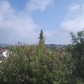 Webcam_20200930-143000