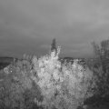 Webcam_20200930-193000
