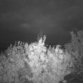 Webcam_20200930-194500