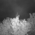 Webcam_20200930-214500