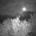 Webcam_20201001-214500