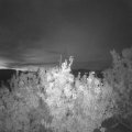 Webcam_20201002-063000