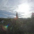 Webcam_20201002-094500