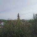 Webcam_20201002-121500