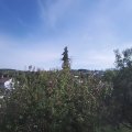 Webcam_20201002-130000