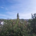 Webcam_20201002-134500