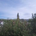 Webcam_20201002-140000