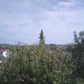 Webcam_20201002-143000