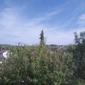 Webcam_20201002-144500
