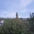 Webcam_20201002-151500