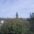 Webcam_20201002-153000