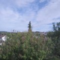 Webcam_20201002-154500