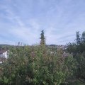 Webcam_20201002-161500