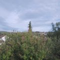 Webcam_20201002-171500