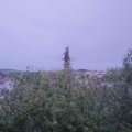 Webcam_20201002-191500