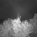 Webcam_20201002-194500