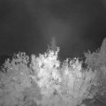 Webcam_20201002-210000