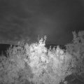 Webcam_20201003-063000