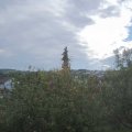 Webcam_20201003-100000