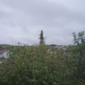 Webcam_20201003-161500