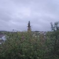 Webcam_20201003-171500
