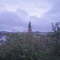 Webcam_20201003-190000