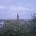Webcam_20201003-191500