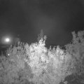 Webcam_20201003-204500