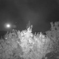 Webcam_20201003-210000