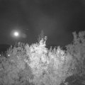 Webcam_20201003-211500