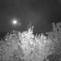 Webcam_20201003-213000