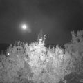 Webcam_20201003-214500