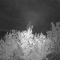 Webcam_20201004-050000