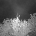 Webcam_20201004-060000