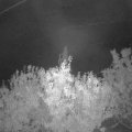 Webcam_20201004-061500
