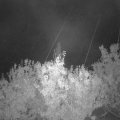 Webcam_20201004-063000