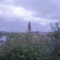 Webcam_20201004-071500