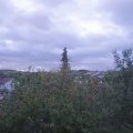 Webcam_20201004-080000