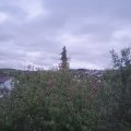 Webcam_20201004-083000