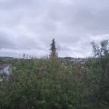 Webcam_20201004-093000