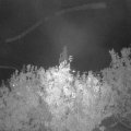 Webcam_20201004-203000