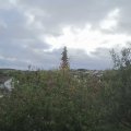 Webcam_20201005-093000