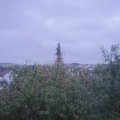 Webcam_20201005-190000