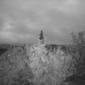 Webcam_20201005-191500
