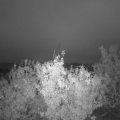 Webcam_20201006-070000