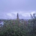 Webcam_20201006-073000